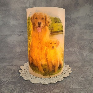 Golden Retriever and Pup Hurricane set - maidenmidwest